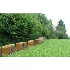 Suport 2 stupi Nicot original Franta picture - 6