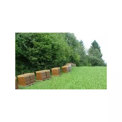 Suport 2 stupi Nicot original Franta picture - 6