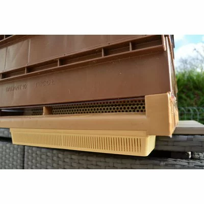 Tavita colector polen Nicot picture - 3