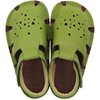 Aranya piele 2021 - Lime picture - 2