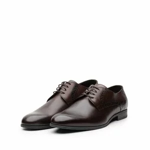 Pantofi eleganti barbati din piele naturala,Leofex - 512 Maro Box