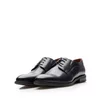 Pantofi eleganţi bărbaţi din piele naturală, Leofex -  529-1 Blue Box