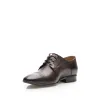 Pantofi eleganti barbati din piele naturala, Leofex - 115-2 Maro box