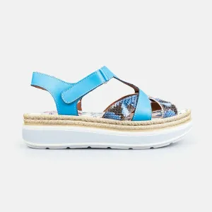 Sandale dama cu talpa groasa din piele naturala -  490 Albastru Box Print